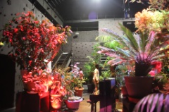 Jardin Ephemere 13 * 6240 x 4160 * (10.6MB)